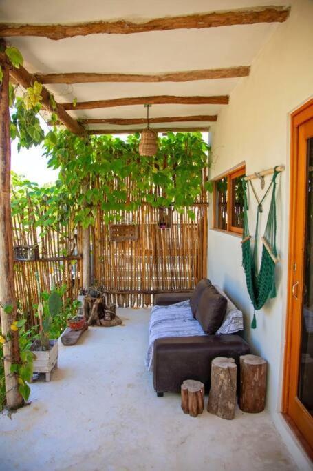 Casa Lunada ホルボックス島 エクステリア 写真